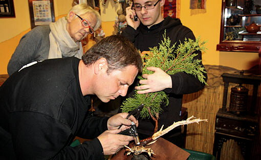 Tvarovanie bonsajov Juraj Szabo