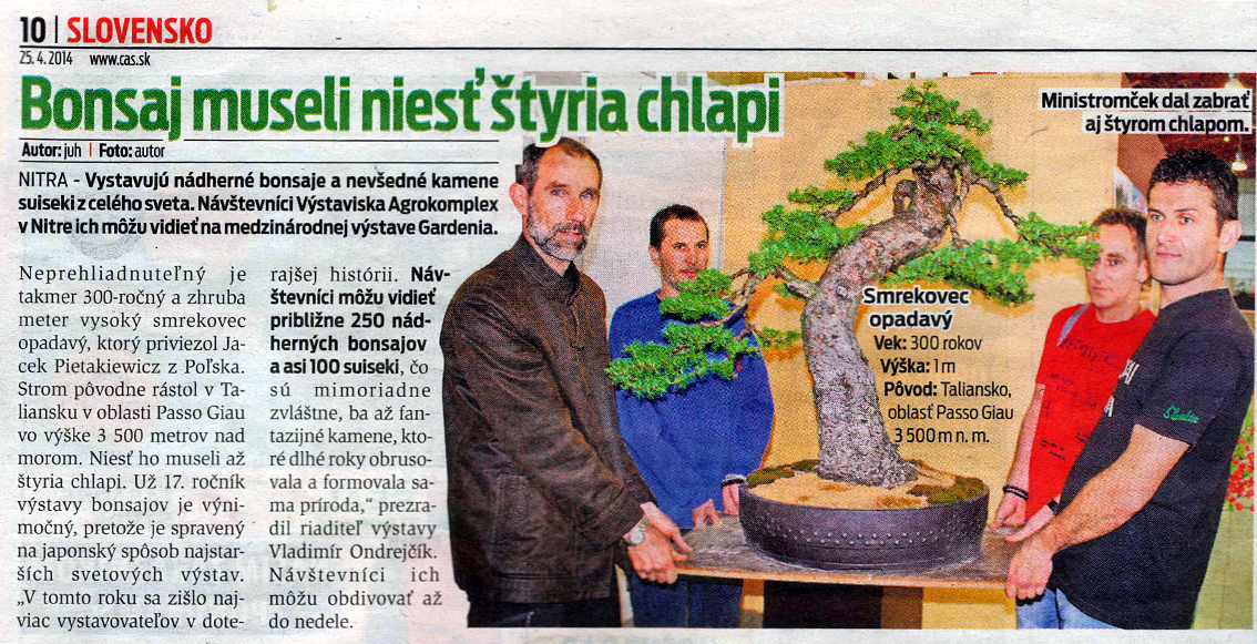 Nový čas - najstarší bonsaj výstavy Bonsai Slovakia!