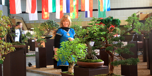 Pozor - malá zmena - galevečer pre vystavovateľov bonsajov a suiseki sa bude konať v sobotu 16. 4. 2011 o 19,00 (teda nie v piatok ako zvyčajne)  Presný program výstavy Vám ešte pošleme.