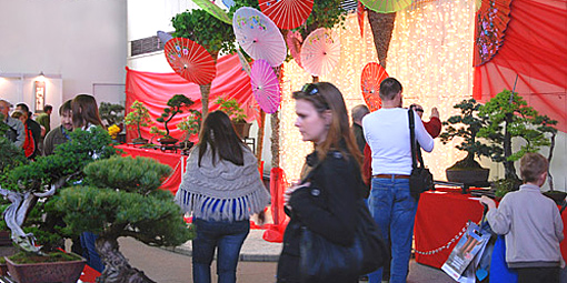 Milí priatelia bonsajisti a suisekisti, milí vystavovatelia  BONSAI CENTRUM NITRA  Vás srdečne pozýva na  14. ročník medzinárodnej výstavy bonsajov, suiseki a čaju BONSAI SLOVAKIA 2011 14. - 17. apríla 2011  Výstavisko Agropkomplex Nitra, pavilón C  Čím je teplejąie a slnečnejąie, tým sa nám čas výstavy Bonsai Slovakia 2011 viac blíľi. Budeme radi, ak budete vystavova» svoje s láskou pestované bonsaje a tvorivé suiseki plné Vaąej fantázie. Prezentujte sa na tejto zaujímavej výstave, ktorú uľ 14 rokov organizujeme pre Vás.  V prílohe nájdete vystavovateµské formuláre.  Mnohí z Vás ich dostali i poątou. Prihlásenie poątou, faxom alebo mailom je rovnocenné.   Pozor - malá zmena - galevečer pre vystavovateµov bonsajov a suiseki sa bude kona» v sobotu 16. 4. 2011 o 19,00 (teda nie v piatok) Presný program výstavy Vám eąte poąleme.  V prílohe nájdete i prihláąku na workshop s Corinom Tomlinsonom. Odporúčame vyuľi» túto jedinečnú príleľitos». Workshop Vám prináąa Nitrianska bonsajová ąkola a jeho cena je veµmi zaujímavá! Ak sa chcete na workshop záväzne prihlási», vyplňte prosím prihláąku a poąlite nám ju obratom na mail: bonsai@e-bonsai.sk alebo tea@e-tea.sk   Ako motiváciu pre vystavovateµov sme pripravili zaujímavé ceny:  Srdečne Vás pozývame!  S pozdravom Alena a Vladimír Ondejčíkoví Bonsai centrum Nitra Čajovňa dobrých µudí  www.bonsai-slovakia.sk www.tea-centrum.sk  www.bonsai-centrum.sk   www.bonsajacaj.sk   www.e-tea.sk   www.e-bonsai.sk 