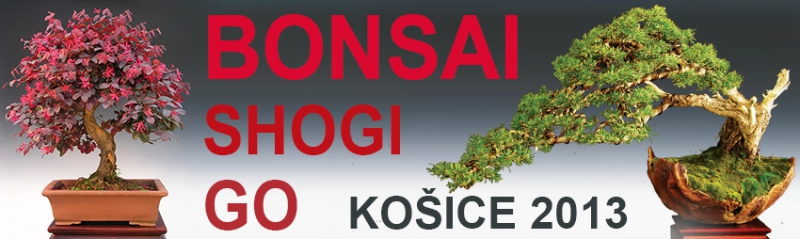 bonsaje košice 2013