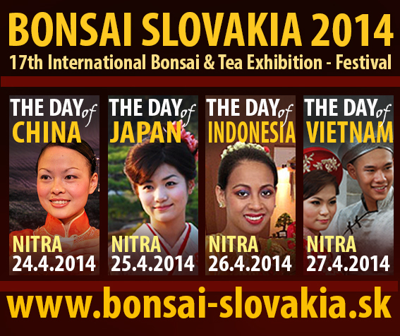 BONSAI SLOVAKIA 2014