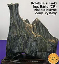 Bonsai Slovakia 2004