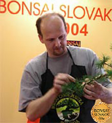 Bonsai Slovakia 2004