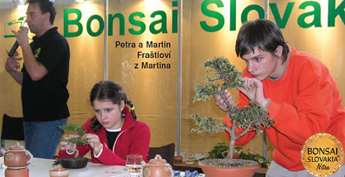 Bonsai Slovakia 2005