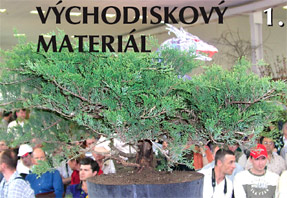 Bonsai Slovakia 2006