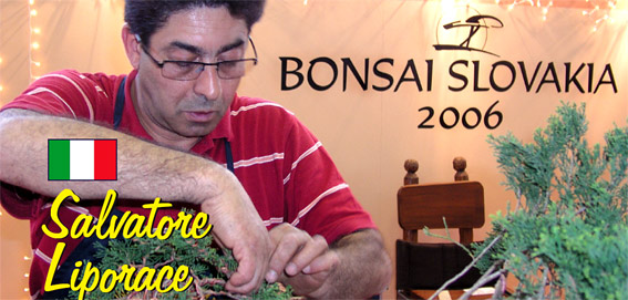 Bonsai Slovakia 2006