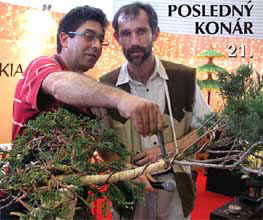 Bonsai Slovakia 2006