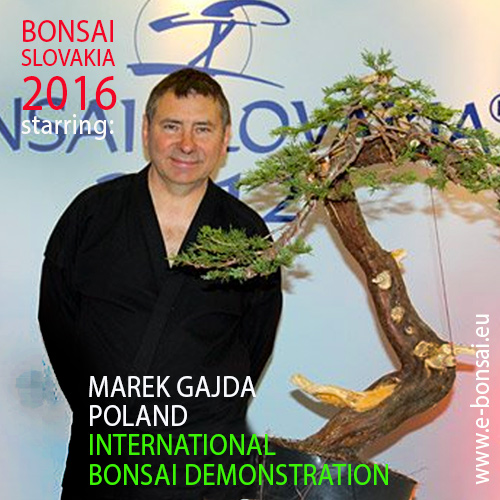 BONSAI SLOVAKIA 2016