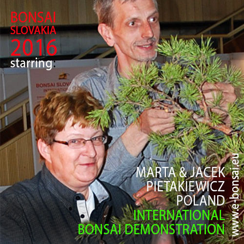 BONSAI SLOVAKIA 2016