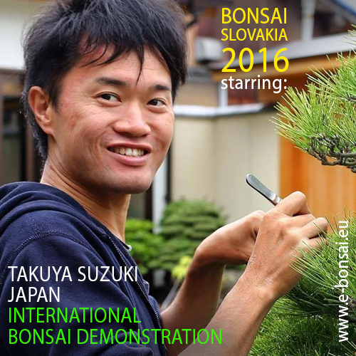 TAKUYA SUZUKI, BONSAI, JAPAN