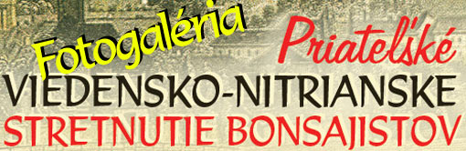 Bonsai Slovakia - Nitra