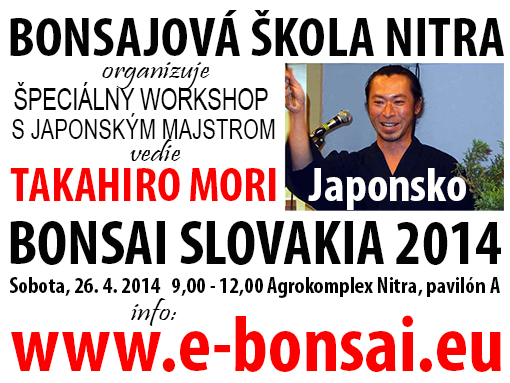 BONSAI SLOVAKIA 2014 - TAKAHIRO MORI