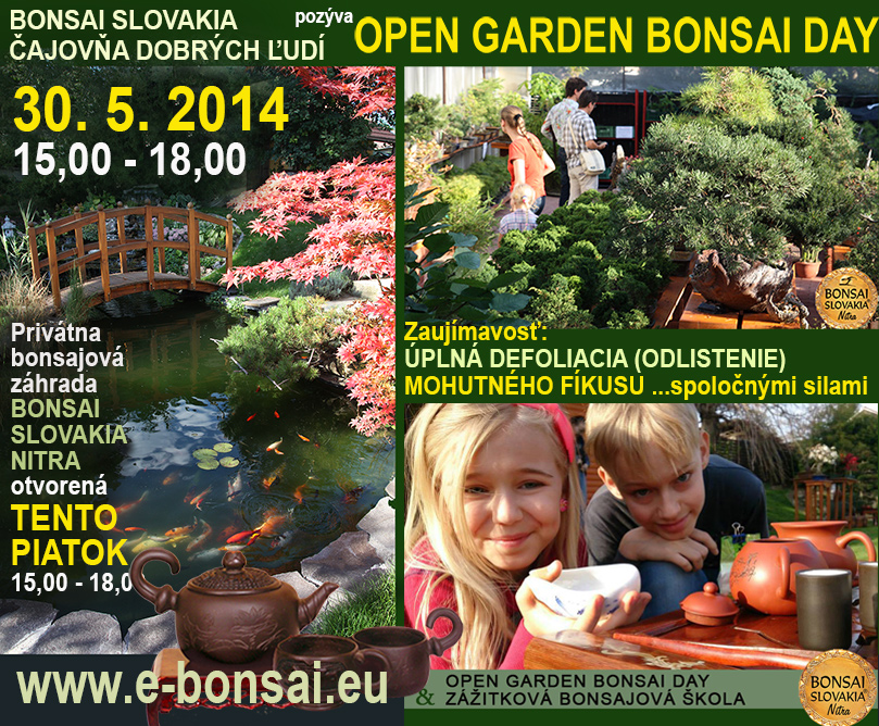 open garden bonsai day