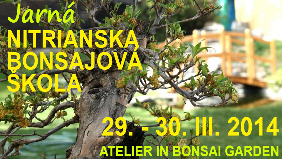 NITRIANSKA BONSAJOVÁ ŠKOLA - JARNÝ KURZ: 29.-30. MAREC 2014. Pozývame Vás opäť do privátnej bonsajovej záhrady bonsai centra Bonsai Slovakia, Nitra. Príďte si vytvoriť svoj vlastný krásny bonsaj. Vedie medzinárodný lektor RNDr. Vladimír Ondejčík. Srdečne Vás pozývame