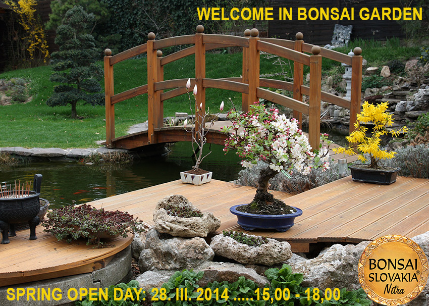 PIATOK - OPEN GARDEN BONSAI DAY