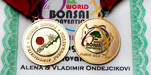 Zlatá medajla na 6.svetovom bonsajovom kongrese v Portoriku