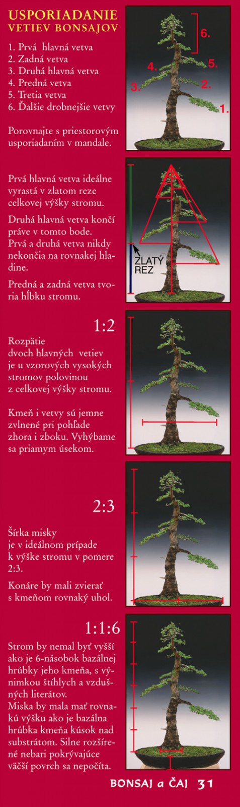 Text a foto: RNDr. Vladimír Ondejčík, RNDr. Alena Ondejčíková Bonsai Sovakia, Nitra