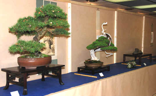 Kongres Bonsai club International Saint Vincent, Taliansko 2008