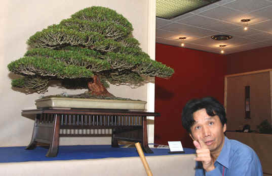 Kongres Bonsai club International Saint Vincent, Taliansko 2008