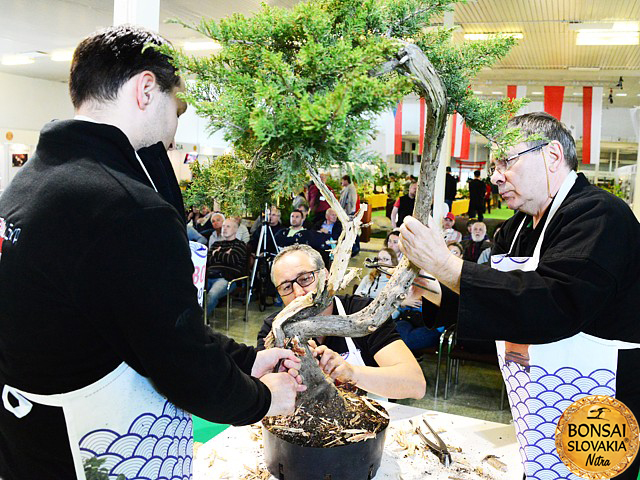 bonsai-slovakia-2016