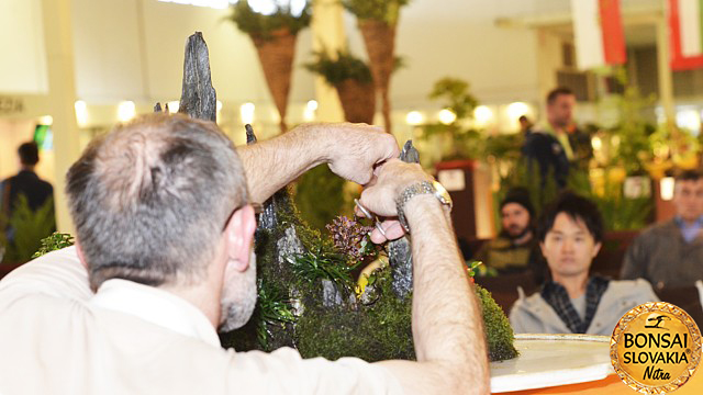 bonsai-slovakia-2016