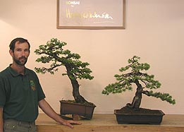 RNDr. Vladimír Ondejčík Juniperus chinensis - demonštrácia tvarovania z roku 2003