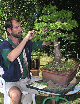 RNDr. Vladimír Ondejčík Juniperus chinensis - demonštrácia tvarovania z roku 2003, Summer Camp, England