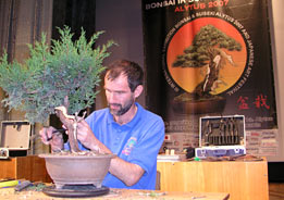 Na Litve v mestečku Alytus organizuje Kestutis Ptakauskas výstavu bonsajov a japonskej kultúry, ktoré majú na Litve veľký ohlas. Spolu s mnohými zahraničnými bonsajovými majstrami predviedol svoje umenie i RNDr. Vladimír Ondejčík. Ako je už našou tradíciou, spolu s tvarovaním bonsajov sa robila i ukážka tradičného čínskeho čajového rituálu spolu s ochutnávkami čajov, pretože bonsaje a čaj k sebe neoddeliteľne patria.