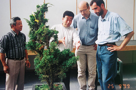 Počas Ginkgo Bonsai Award v Belgicku RNDr. Vladimír Ondejčík na workshope s Akiom Katom (Japonsko) vytvaroval do základného tvaru borievku čínsku. Jej konečný tvar vzniká pestovaním a najmä postupným tvarovaním v ďalších rokoch.