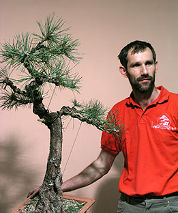 Tvarovanie RNDr. Vladimír Ondejčík - Pinus Thunbergii - Bonsai Slovakia 2003