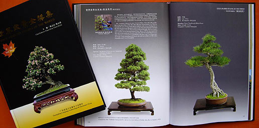 r. 2007 - borovica získala ocenenie Strom roka 2007 na výstave Bonsai Slovakia 2007