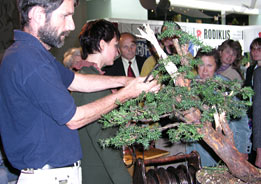 Bonsai Paroda - Litva - Alytus, 2004 