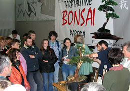 Bonsai Paroda - Litva - Alytus, 2004 