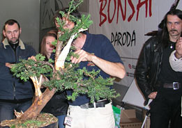 Bonsai Paroda - Litva - Alytus, 2004 