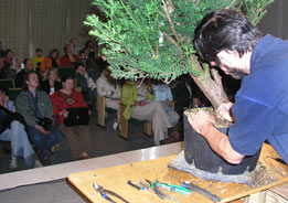 Bonsai Paroda - Litva - Alytus, 2004 