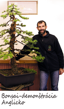 Bonsai demonštrácia - Ondejčík - Tomlinson