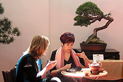 Bonsai Slovakia 2007