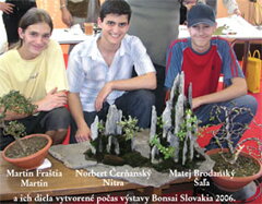 Bonsai Slovakia 2006