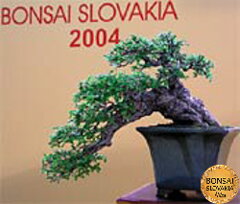 Bonsai Slovakia 2004