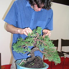 Bonsai Slovakia 2007