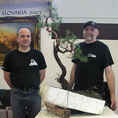 Bonsai Slovakia 2007