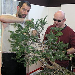 Bonsai Slovakia 2007