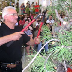 Bonsai Slovakia 2007