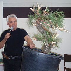 Bonsai Slovakia 2007