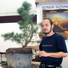 Bonsai Slovakia 2007