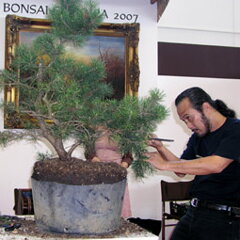 Bonsai Slovakia 2007