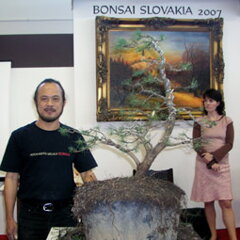 Bonsai Slovakia 2007