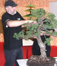 Bonsai Slovakia 2006