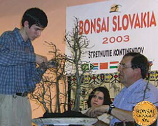 Bonsai Slovakia 2003